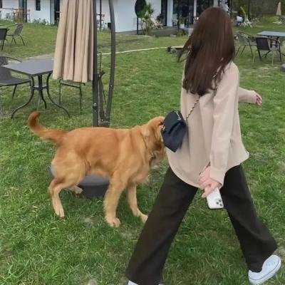 史努比秀第三季